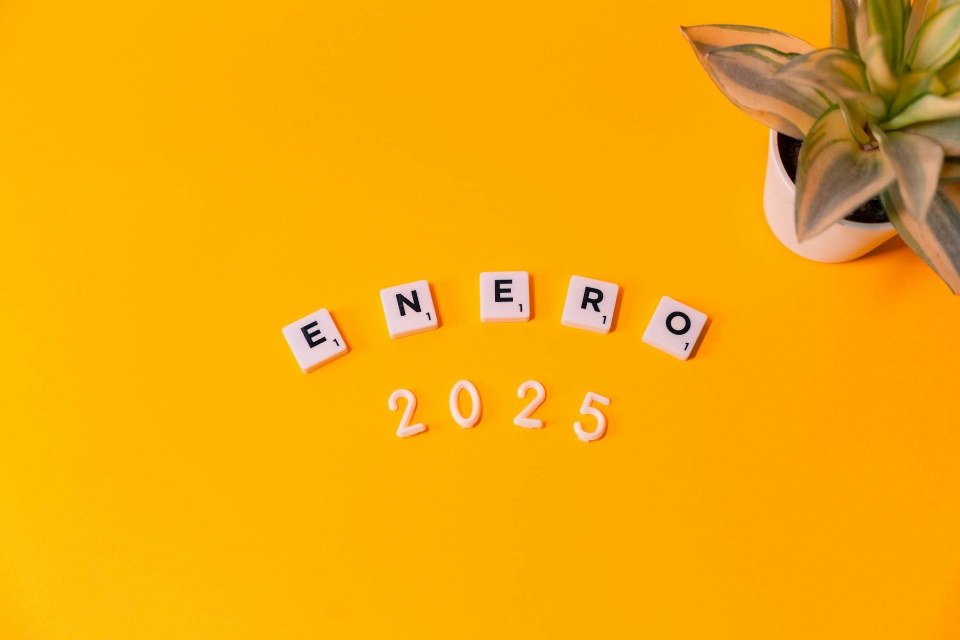 Analiza budżetu Pszowa na 2025 rok – dane o dochodach i wydatkach