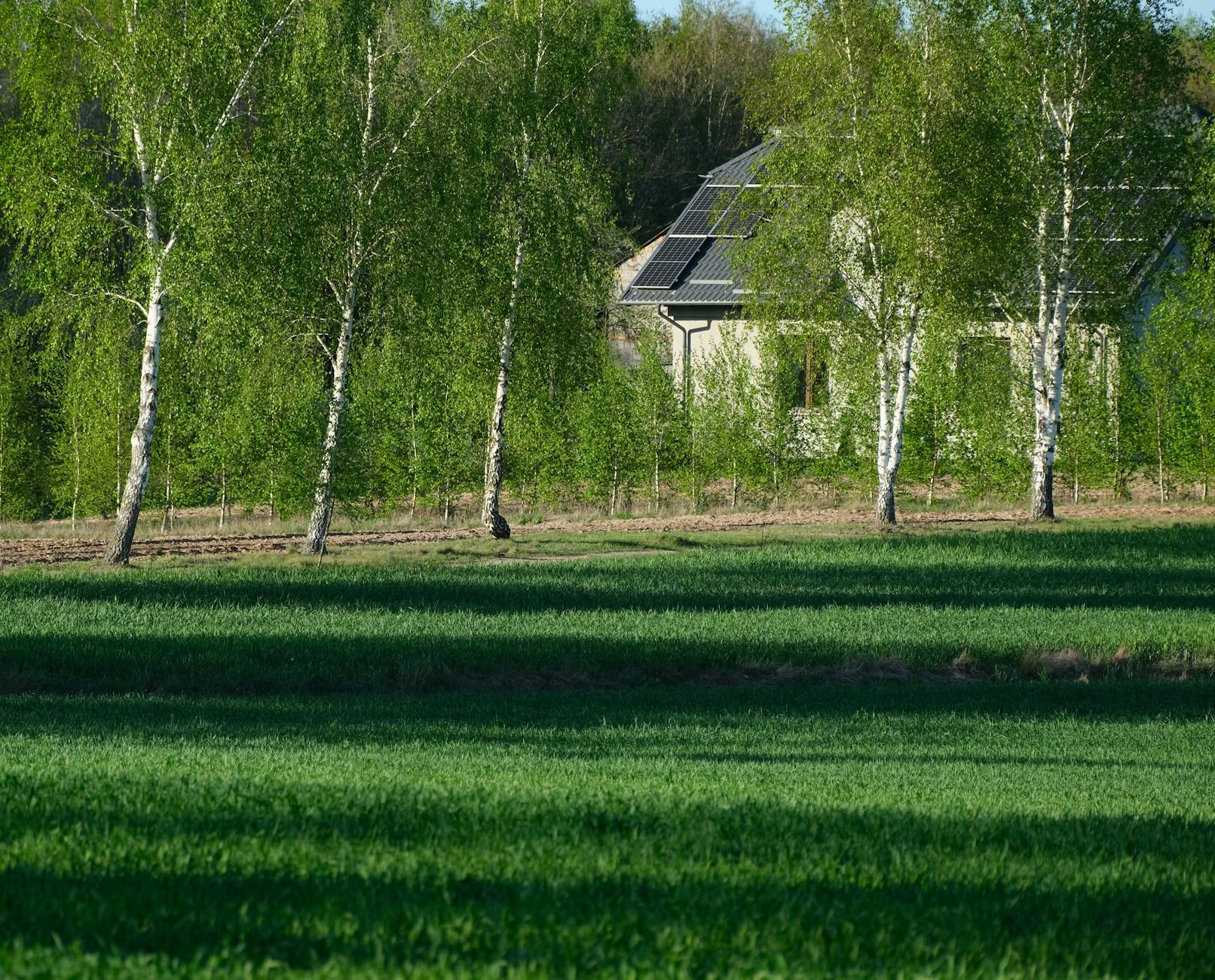Burmistrz Pszowa prezentuje symboliczne czeki z dofinansowaniem na ekologiczne inwestycje dla mieszkańców