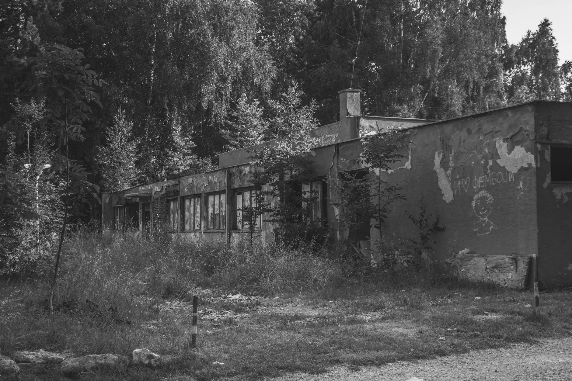 Zielone Świątki w Pszowie: Tradycje, Radość i Wspólne Świętowanie
